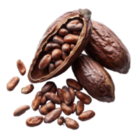 Cocoa beans and pods arranged on a bright transparent background showcasing their rich texture and color, Cocoa beans isolated on transparent background png