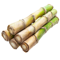 Freshly harvested sugarcane stalks arranged neatly on a transparent background with a clean and simple presentation, sugarcane on transparent background png