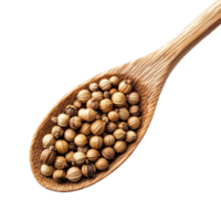 Coriander seeds in a wooden spoon isolated on a transparent background showcasing their natural texture and color, Coriander seeds in wood spoon isolated on transparent background png