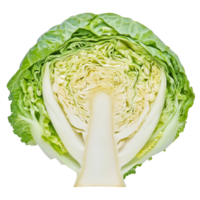 Freshly sliced cabbage showcasing layers and texture with a crisp appearance on a bright transparent background, slice cabbage isolated on transparent background png