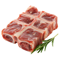 Fresh raw beef entrecote bone isolated on a transparent background for culinary purposes and recipe preparation, Isolated raw beef entrecote bone png