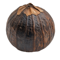 Water nut isolated on a clean transparent background showcasing its unique round shape and textured surface, Waternut isolated on transparent background png