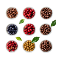 Ripe and unripe coffee berries and beans arranged in bowls on a transparent background showcasing their colors and textures, coffee beans ripe and unripe berries on transparent background png