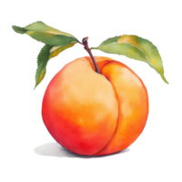 Captivating peach with lush colors and fresh leaves on a bright transparent background, Deliciously Luscious Peach Captivating Fruit on transparent background png