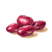 A cluster of red kidney beans showcased on a neutral background, perfect for culinary and nutritional applications, Red kidney beans isolated Stock Illustration png