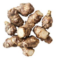 Fresh Jerusalem artichokes displayed on a transparent background, showcasing their unique shape and texture naturally, Jerusalem artichoke on transparent background png