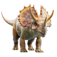 A detailed rendering of a triceratops dinosaur showcasing its iconic horns and frill against a transparent background, triceratops dinosaur on transparent background3d rendering png