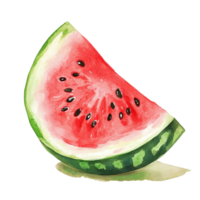 A vibrant watercolor painting of a watermelon slice resting on a clean transparent background, watermelon fruit slice on transparent background png