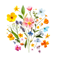 Celebrate the beauty of spring with vibrant flowers and greenery isolated on a clean transparent background, Hello Spring concept isolated on transparent background png