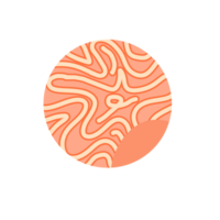 A circle with a pattern on it png