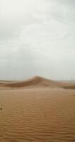 Desert with fine yellow sand on a windy day. The wind develops fine sand dust, forming dunes. Desert, vertical . 4k , red komodo video