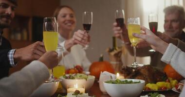 A group of people toasting at a dinner table video