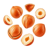 Hazelnuts in Various Stages on Transparent Background png