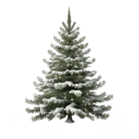 A vibrant Christmas tree illustrated with intricate ornaments and twinkling lights, set against a crisp transparent backdrop, perfect for adding festive cheer to any project png