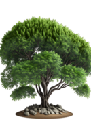 Whimsical Tree of Dreams A Lush 3D Rendering Captured in Stunning Detail Against a Transparent Canvas png