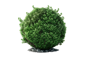 Vivid Green Bush A 3D Illustration Set Against a Transparent Canvas, Perfect for Seamless Integration in Digital Projects. png