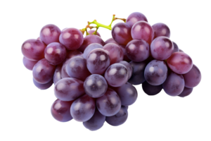 Fresh Grape Clusters Isolated High Quality Image with Transparent Background png