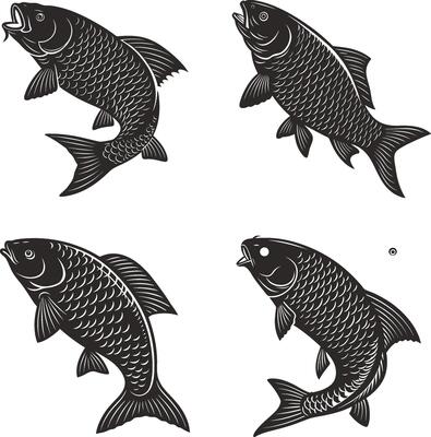 Freshwater and Sea Fish Bundle on Ice High-Quality Mixed Fish Stock Photo for Commercial Use.
