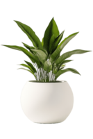 A white planter with a green plant in it png