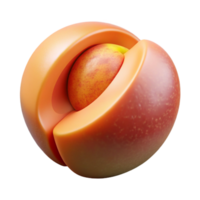 extraordinary modern Peach Half Isolated Element premium png