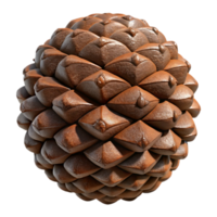 impressive minimalist Pine Cone Open and Textured Brown Isolated authentic png