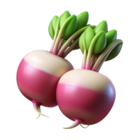 stunning traditional Radish Bunch Isolated on a Transparent Background original png
