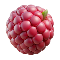 magnificent artistic Raspberry Close Up Isolated Element high resolution png