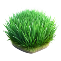 wonderful contemporary Realistic Green Grass with Transparent Background authentic png