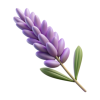 impressive artistic Realistic Lavender Sprig Isolated on Transparent Background exclusive png