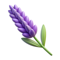 impressive modern Realistic Lavender Sprig Isolated on Transparent Background detailed png