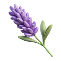 serene creative Realistic Lavender Sprig Isolated on Transparent Background exclusive png