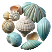 magnificent abstract Seashell Collection Various Shapes Isolated high resolution png