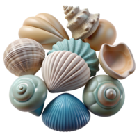 serene rustic Seashell Collection Various Shapes Isolated high quality png