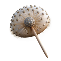 stunning traditional Single Dandelion Seedhead with Seeds Isolated high resolution png