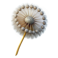 vibrant minimalist Single Dandelion Seedhead with Seeds Isolated original png