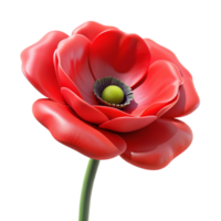 serene traditional Single Red Poppy Front View Isolated Element professional png