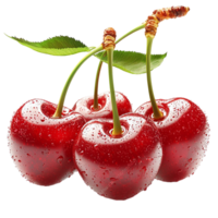 Cluster of red cherries with green stems and water droplets png
