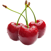 Cluster of red cherrie with green stems and water droplets png