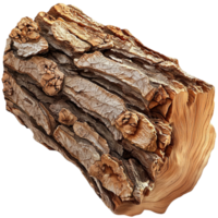 Rough textured tree bark with deep cracks and rugged layers png