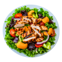 Grilled Chicken Salad with Fresh Vegetables and Colorful Garnishes png