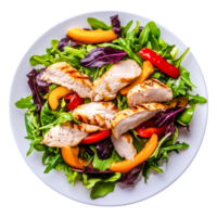Fresh Grilled Chicken Salad Served on White Plate with Greens png