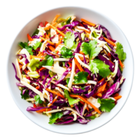 Fresh Colorful Cabbage Salad with Carrots and Herbs in Bowl png