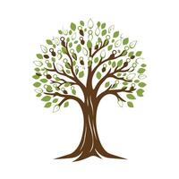 A tree with leaves vector