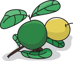 A Minimalist Illustration of a Ripe Guava, Showcasing Its Smooth, Round Shape and Vibrant Color, Highlighting the Fruit's Natural Beauty in a Clean and Simple Design vector