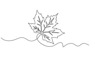 Continuous Line Drawing maple leaf vector