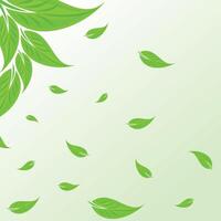 A background with the falling green leaves. vector