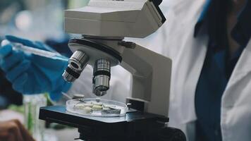 A person in a lab coat is looking at a microscope video
