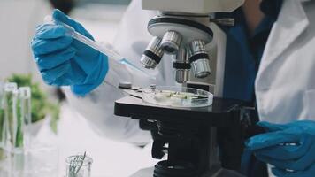 A person in a lab coat is looking at a microscope video
