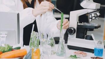 A woman in a lab coat is looking at a microscope video