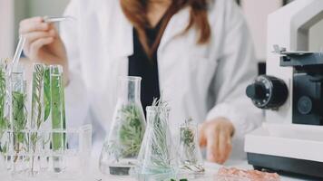 A woman in a lab coat is working on a project video
